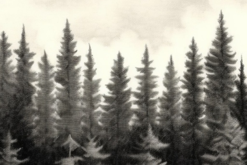 Context and Purpose of this&nbsp;Blog